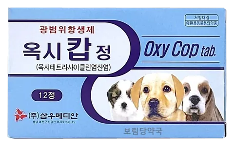 옥시캅정 제품 사진 (보림당약국)