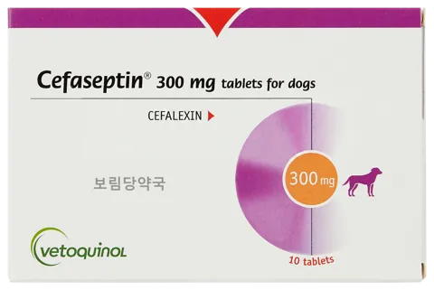 세파셉틴 300mg 제품 사진 (보림당약국)
