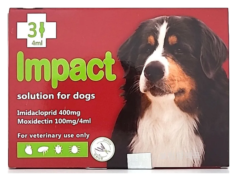 임팩트 독 제품 사진 (보림당약국)