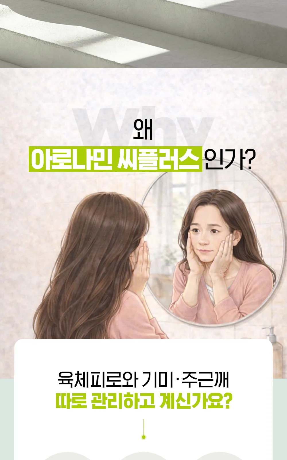 아로나민씨플러스정 상세 설명