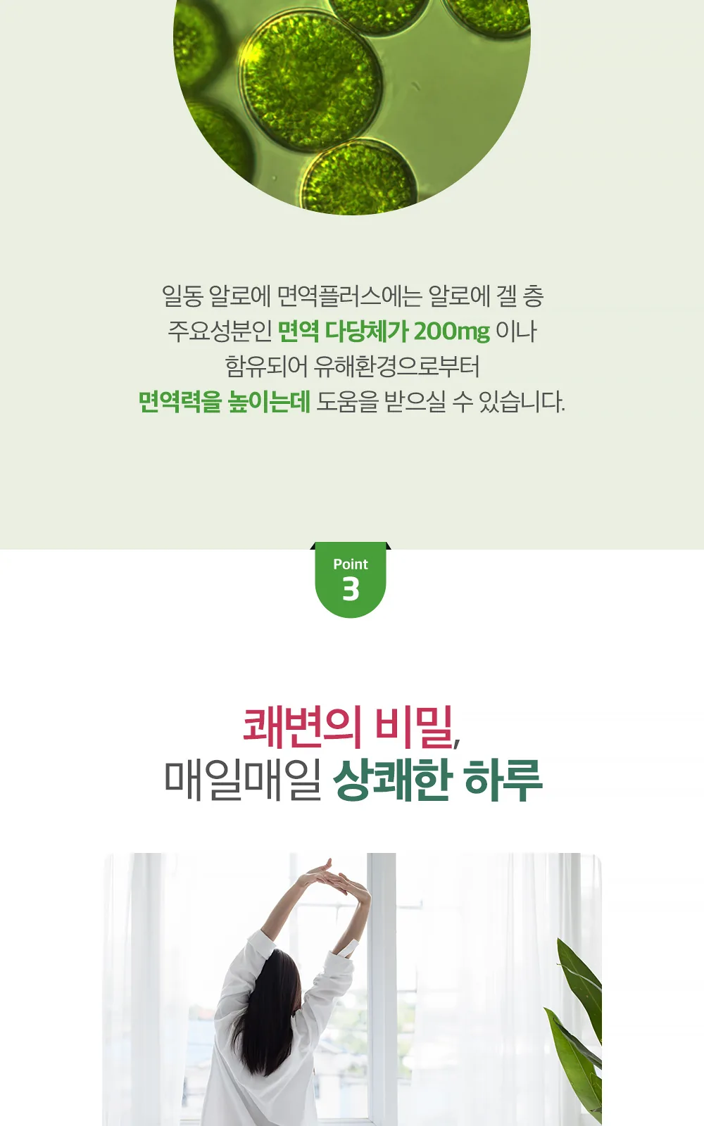 일동 알로에 면역플러스 (P) 1P*40 상세 설명