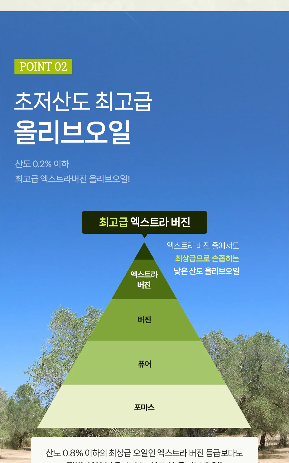 일동 엑스트라 버진 올리브 1000mg (P) 상세 설명