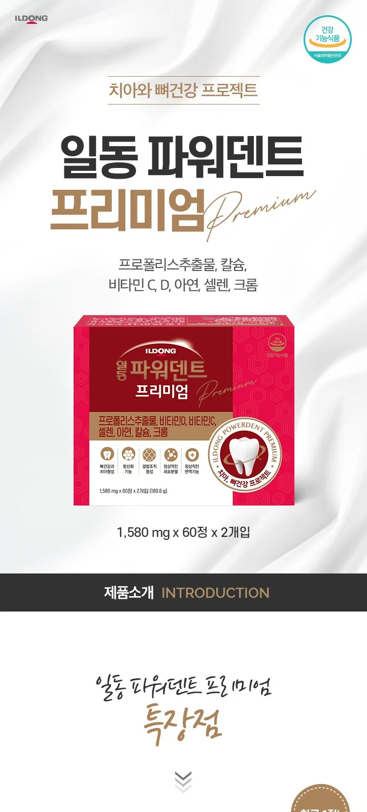 일동 파워덴트 프리미엄 (P) 상세 설명