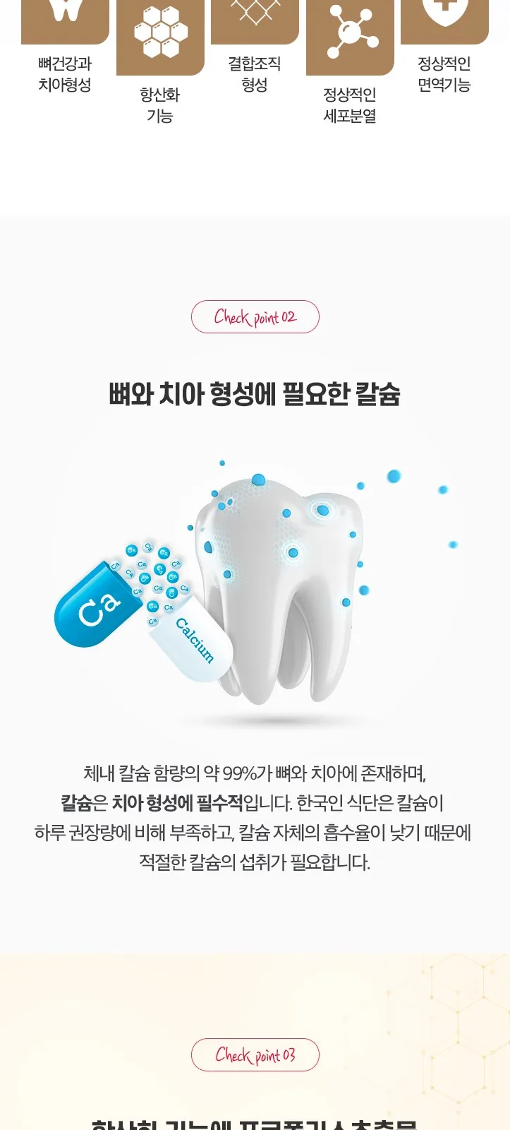 일동 파워덴트 프리미엄 (P) 상세 설명