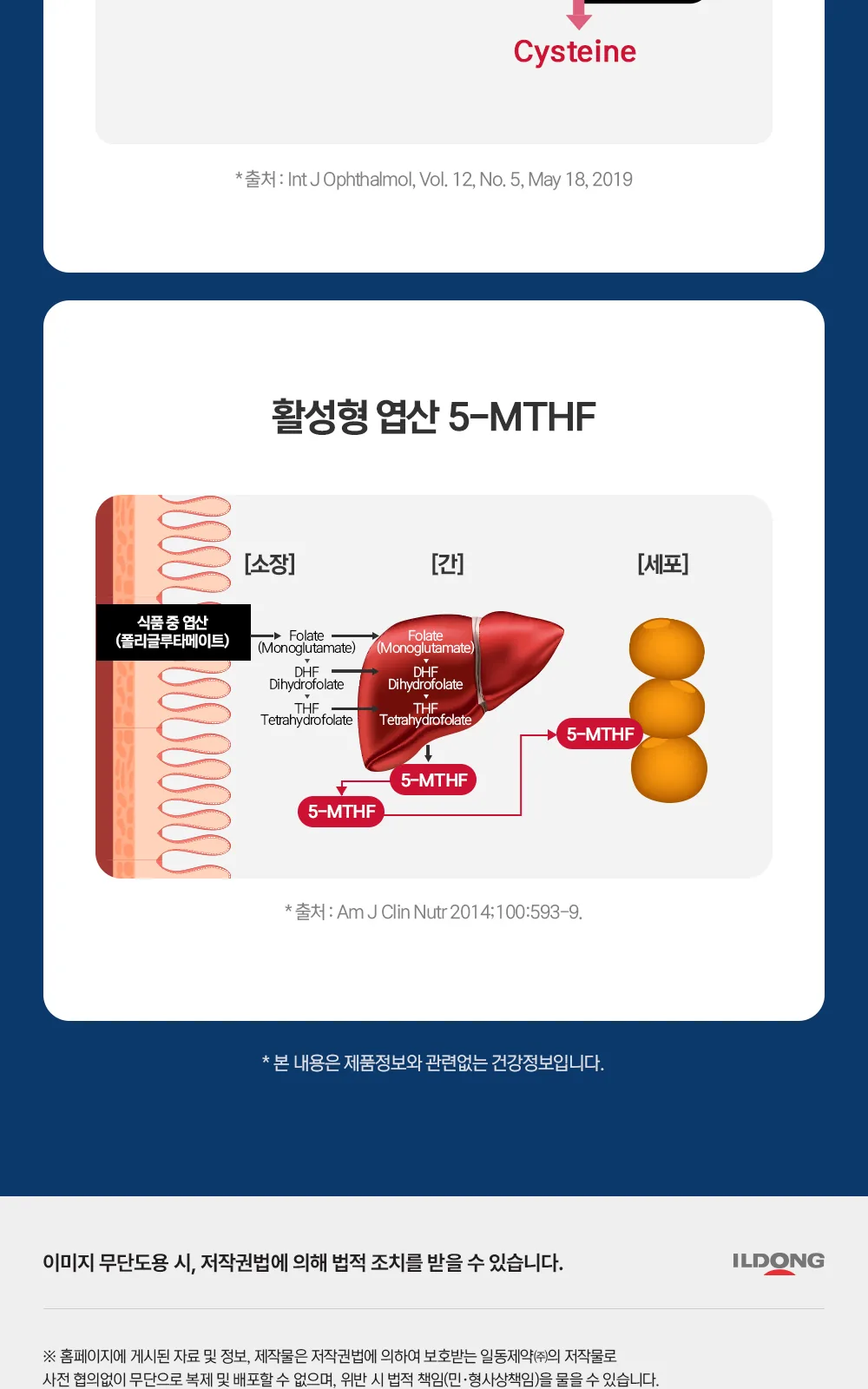 일동 활성형 엽산플러스 상세 설명
