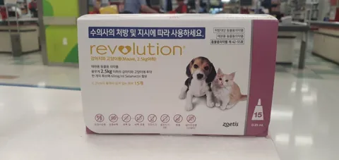 레볼루션 포장 정면
